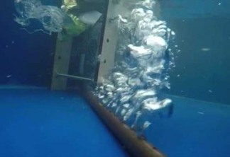 Bolhas de ar criam barreira para lixo plástico nas águas