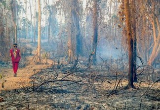 Alerta verde: como os indígenas vêm sentindo as mudanças climáticas na floresta