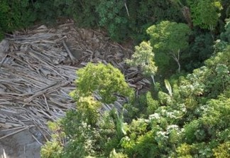 Aumento da concentração de terras agrava crise ambiental no país, alertam especialistas