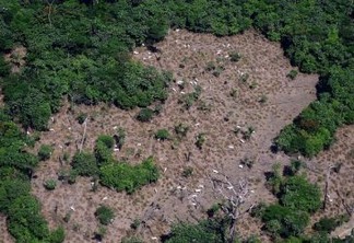 Nova regra de reserva legal do Código Florestal pode levar ao aumento do desmatamento na Amazônia