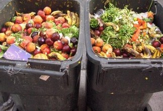 17% de todos os alimentos disponíveis para consumo são desperdiçados
