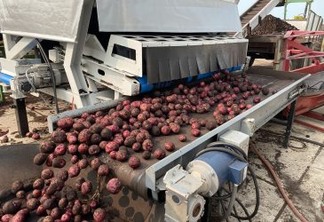 Como a tecnologia da Tomra ajuda agricultores e produtores de batata a trabalhar de forma mais inteligente