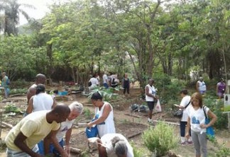 Moradores transformam terreno abandonado no Rio em referência de horta urbana