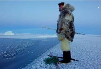 No Dia Internacional contra as Mudanças Climáticas, a National Geographic lança o documentário Ártico Ameaçado