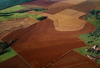 Vozes dos Biomas: Uma lente de aumento sobre as pressões do uso da terra nos biomas brasileiros, por Marcos Rosa (Mapbiomas)