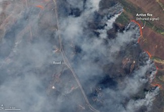 Incêndios destroem florestas sazonais e campos agricultáveis na Sibéria