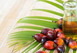 Ferrero atualiza suas metas sobre óleo de palma responsável