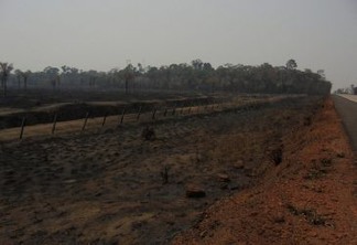 Uma pastagem incendiada na margem do trecho da rodovia BR-364 que leva ao norte da Bolívia e leste do Peru, a partir de Rondônia. As grandes queimadas diminuíram na Amazônia, mas persistem os incêndios em pequenas áreas. Foto: Mario Osava/IPS