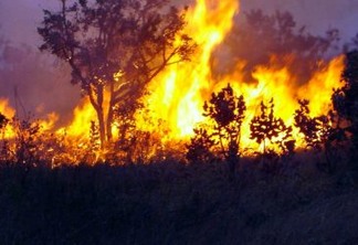 Número de queimadas aumenta no Cerrado e na Amazônia na primeira metade de 2022