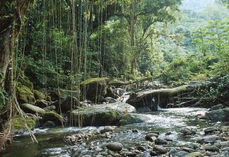 Vozes dos Biomas: um panorama sobre a situação das Reservas Particulares do Patrimônio Natural no Brasil, por Ângelo Guimarães Simão