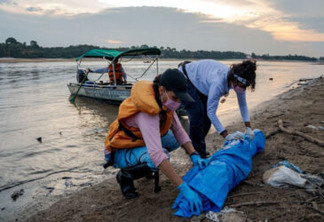 Na Amazônia, mais de 100 botos morrem por causa da seca extrema