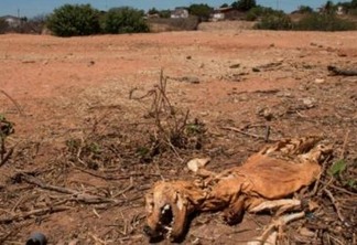 Distribuição irregular de chuvas no verão prejudica municípios brasileiros