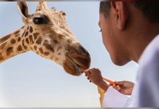 Al Ain Safari oferece viagens escolares para aumentar a conscientização sobre animais ameaçados