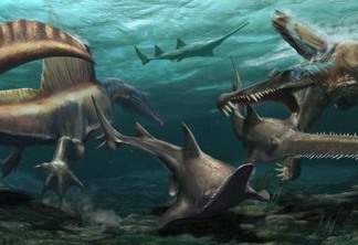 Novo achado fóssil reescreve a história da evolução do dinossauro e a aparência do famoso espinossauro