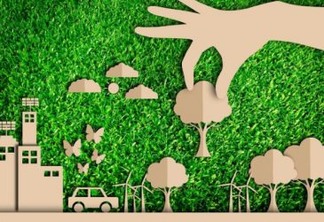 Empresas tem mais consciência em sustentabilidade, mas faltam decisões