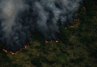 Greenpeace Brasil sobrevoa a Amazônia e flagra o avanço do fogo sobre a floresta
