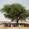 No Sudão, mulheres fazem fila para receber alimentos em Tawilla, um local para pessoas deslocadas que chegam fugindo de Jebel Marra, em Darful. Esse tipo de assistência de emergência tira fundos de projetos de nutrição em Cartum. Foto: Ocha
