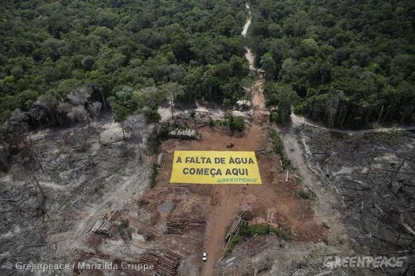 As florestas são essenciais para a regulação do clima e para a produção de chuvas. Foto de enorme área desmatada, em Roraima. Foto: © Greenpeace/Marizilda Cruppe