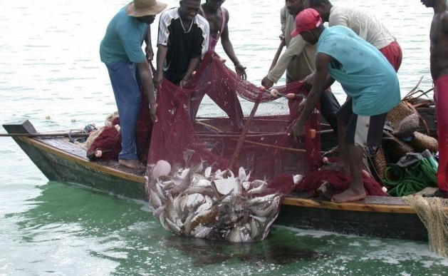 Estudos demonstram que as espécies locais de peixes de Uganda, capturadas no lago Victoria, diminuem devido à elevação da temperatura em razão da mudança climática. Foto: Wambi Michael/IPS