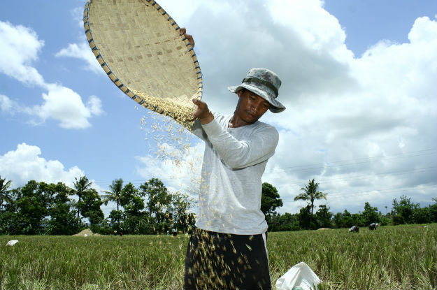 Ban Ki-moon diz que acabar com a fome é "responsabilidade de todos". Foto: Danilo Pinzon / World Bank