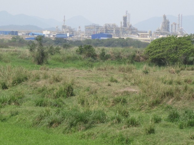 Entre o mato, parte das estruturas do Complexo Petroquímico do Estado do Rio de Janeiro (Comperj), no mês passado, vista da margem do rio Caceribu, o ponto mais próximo das instalações ao qual que se pode chegar. Foto: Mario Osava/IPS