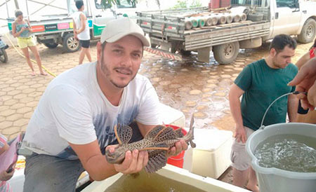 Estima-se terem sido salvos mais de 6 mil peixes de 20 diferentes espécies. Foto: © TV Gazeta