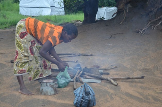 Propenso a sofrer secas e inundações anuais com efeitos devastadores na produção agrícola, Malawi se esforça na implantação de medidas de prevenção para enfrentar a má nutrição. Foto: Mabvuto Banda/IPS