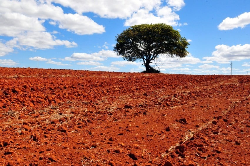 A finalidade do fundo é financiar projetos, estudos e empreendimentos para a redução dos impactos e adaptação aos efeitos das mudanças climáticas. Foto: Paulo de Araújo/MMA