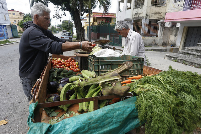 Dois vendedores ambulantes organizam seus produtos agrícolas para serem vendidos em uma rua do bairro de Playa, em Havana, capital de Cuba. Foto: Jorge Luis Baños/IPS