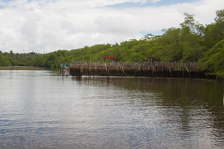 O recinto de aclimatação no Rio Tatuamunha. Foto: Rafael Munhoz