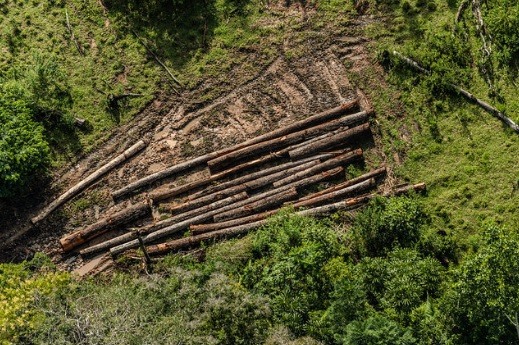 Foto: Fábio Nascimento/Greenpeace