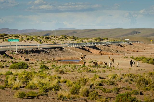 Um trecho da estrada que integra o corredor Bolívia-Chile, destinado a aumentar os fluxos comercial e turístico entre os dois países. Foto: CAF