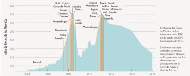 grafico