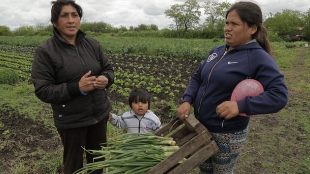 Olga Campos (esquerda), seu neto Jhonny e Limbania Limache, no terreno de três hectares que arrendam e onde cultivam hortaliças orgânicas em El Pato, no sul da Grande Buenos Aires, a 44 quilômetros da capital Argentina. Chova, faça frio ou calor, elas trabalham em sua horta diariamente. Foto: Guido Ignacio Fontán/IPS 