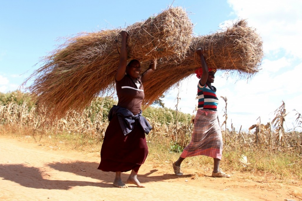 Mulheres em Monapo. Foto: Alexandre Campbell