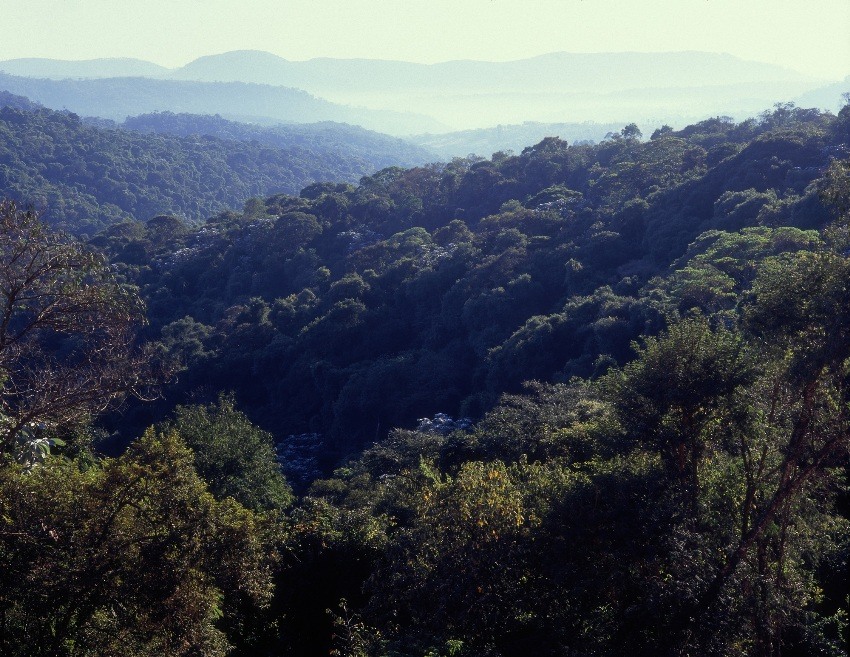 panorâmica Tambore