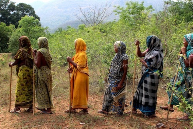 Mulheres da aldeia tribal de Gunduribadi, no Estado de Odisha, na Índia, patrulham a floresta com paus para evitar o desmatamento ilegal. Foto: Manipadma Jena/IPS