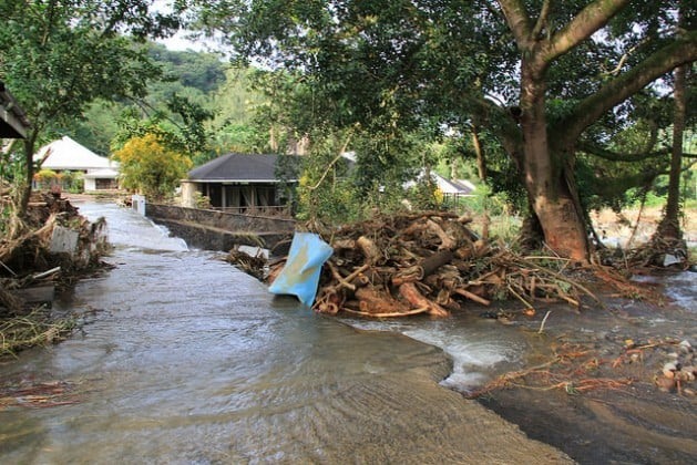 Durante a tempestade de 2013 as inundações depositaram grande quantidade de troncos que haviam sido cortados em zonas residenciais e comerciais de São Vicente e Granadinas. Foto: Kenton X. Chance/IPS