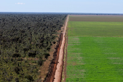 Vista aérea de plantação de soja em área de Cerrado nativo, na região de Ribeiro Gonçalves, Piauí, Brasil. © Adriano Gambarini/WWF-Brasil