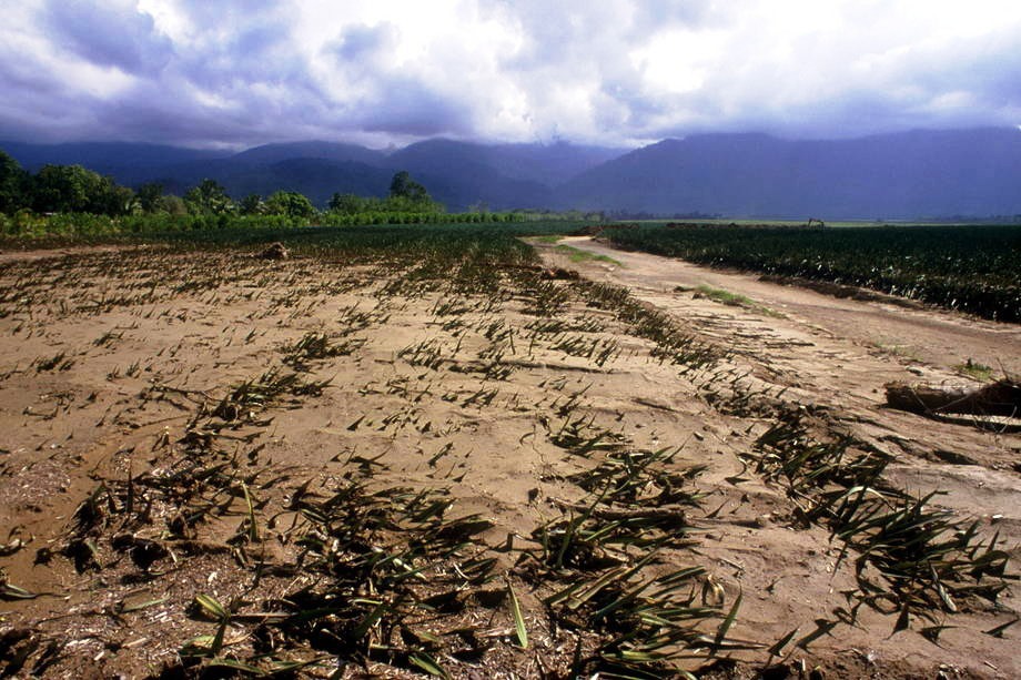 As alterações climáticas têm implicações graves para a agricultura e a segurança alimentar. Foto: FAO / L. Dematte