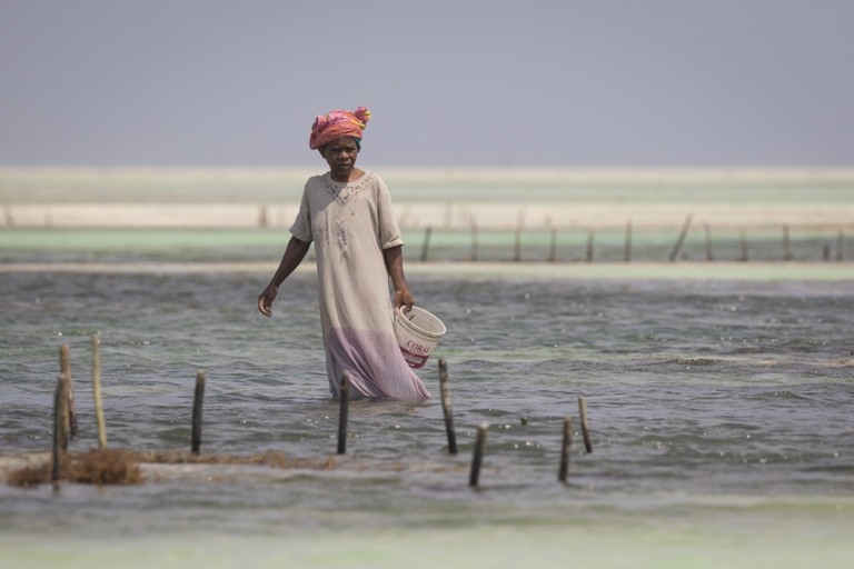 As graves inundações estão entre os principais efeitos devastadores da mudança climática. Foto: Shutterstock