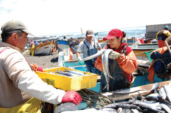 Pescadores artesanais de Duao, na região chilena de Maule. A degradação dos mares e oceanos pode prejudicar os mais de dois milhões de pescadores artesanais ou de pequena escala da América Latina. Foto: Marianela Jarroud/IPS