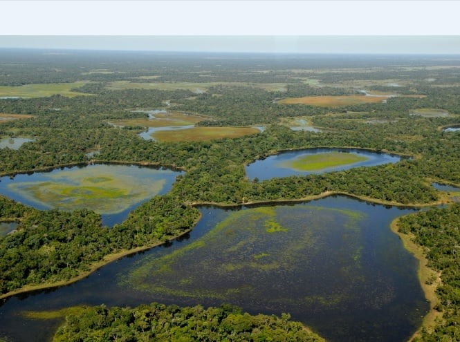 A organização defende a criação de mais áreas protegidas e mais Sítios Ramsar na bacia do Pantanal e no Brasil  © Adriano Gambarini/WWF-Brasil
