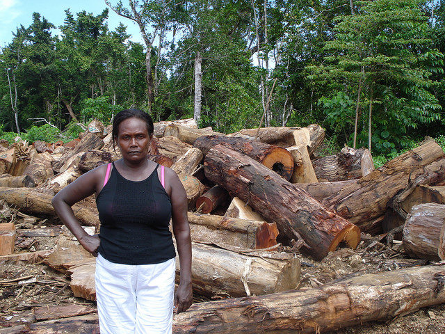 Os proprietários de terras por direito consuetudinário em Papua-Nova Guiné sofrem as consequências sociais e ambientais do desmatamento ilegal. Foto: Catherine Wilson/IPS