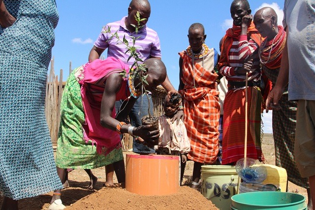 Plantação comunitária de árvores em Samburu, condado semiárido do Quênia. Foto Robert Kibet/IPS