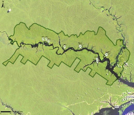 Mapa mostra área onde serão plantadas as árvores do programa. Foto: Idesam/Divulgação