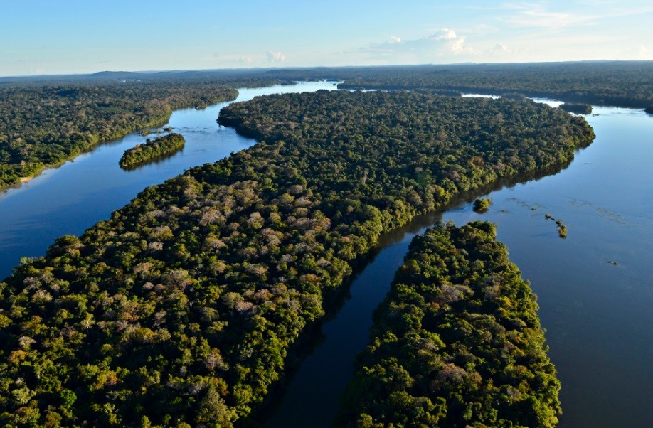 Parque Nacional do Juruena. Foto: © Adriano Gambarini / WWF-Brasil