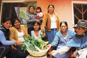 Mulheres da Associação de Produtores Urbanos de Sucre, de bairros da periferia da capital oficial da Bolívia, com uma cesta de hortaliças ecológicas colhidas em suas hortas tipo estufa, com as quais melhoraram a alimentação e a economia de suas famílias. Foto: Franz Chávez/IPS