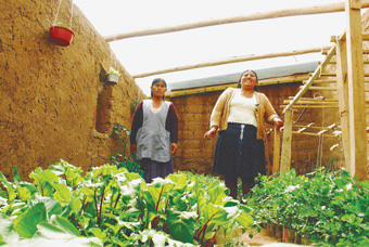 Duas produtoras de hortaliças periurbanas de Sucre, a capital oficial da Bolívia, mostram orgulhosas uma das barracas solares das hortas tipo estufa que famílias de 83 bairros dos subúrbios da cidade instalaram em seus quintais, como parte do nacional Programa de Agricultura Urbana e Periurbana. Foto: Franz Chávez/IPS