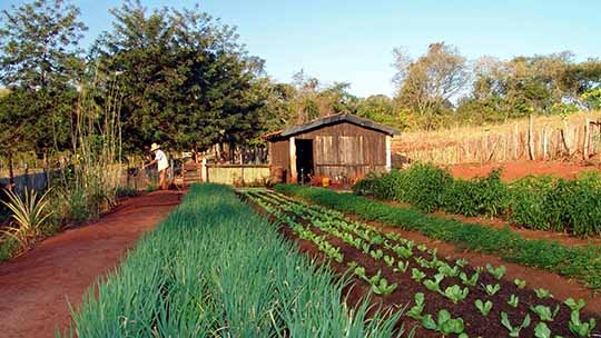 Preservar a biodiversidade, fortalecer e incentivar o modo de vida de comunidades tradicionais são os pilares do projeto. Foto: PNUD Brasil/Tainá Seixas